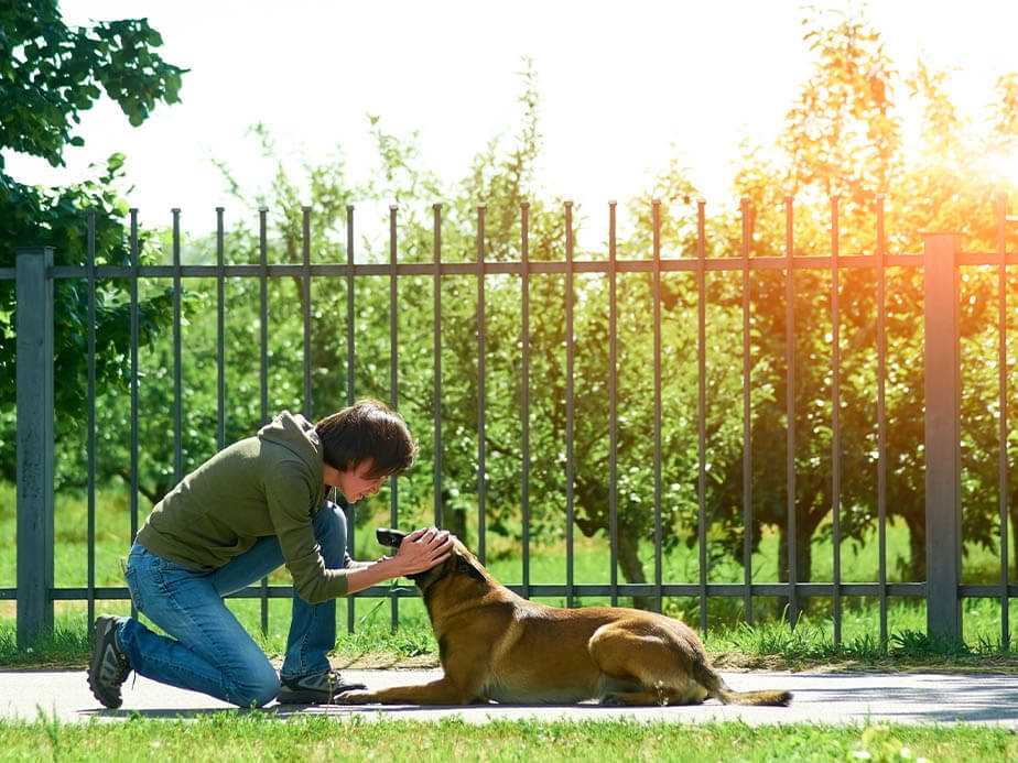 Birmingham AL Aluminum Fences