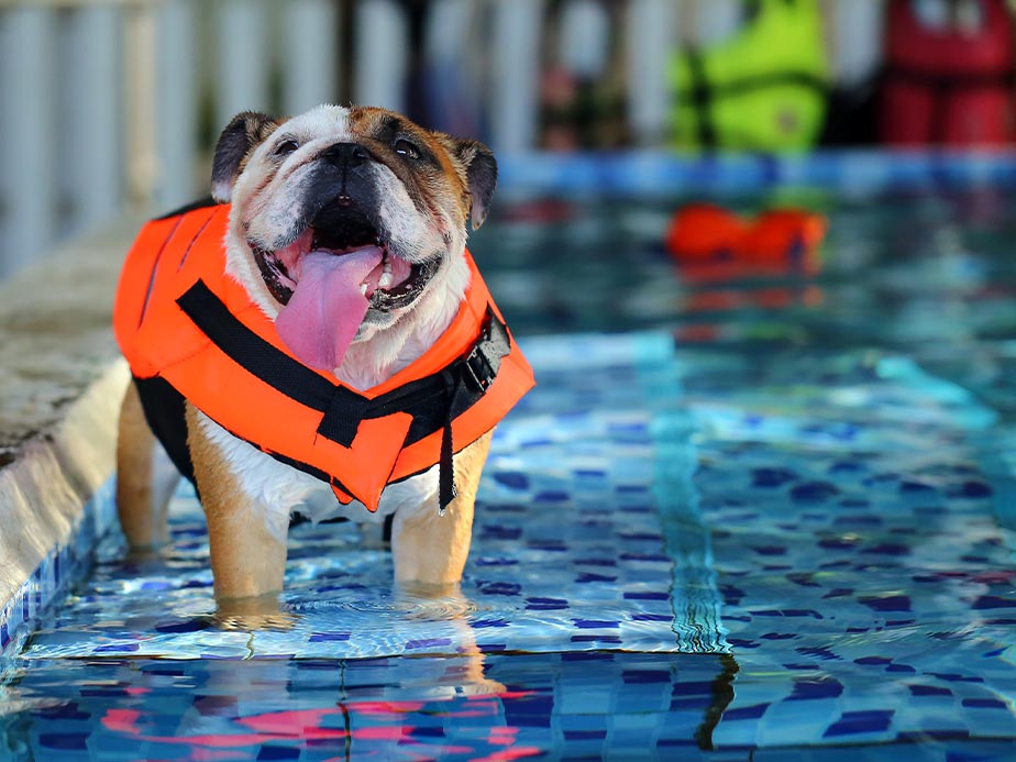 Pool Fence Example in Fultondale Alabama
