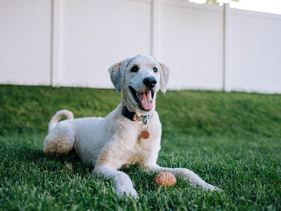 vinyl fence Irondale Alabama