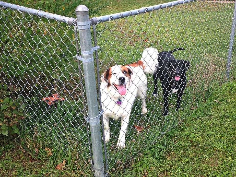 chain link fence Vestavia Alabama