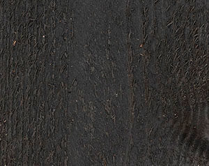 Charcoal gray wood deck and fence stain color